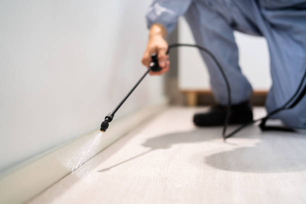 Licensed Pest Control service in North Bethesda, MD - Show Me Pest Control