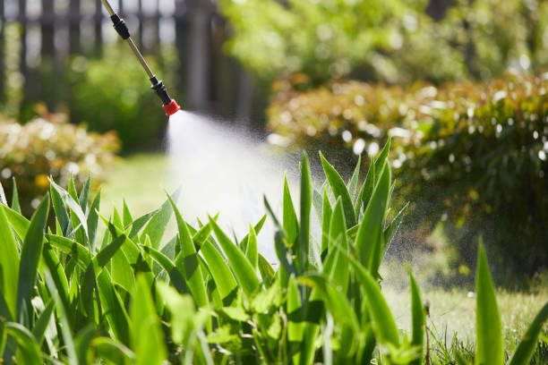 24/7 Emergency Wasp Removal experts in North Bethesda, MD
