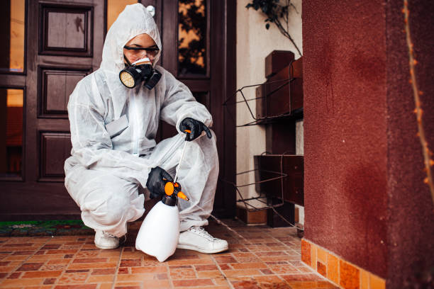 Reliable Wasp Removal contractor in North Bethesda, MD by Show Me Pest Control
